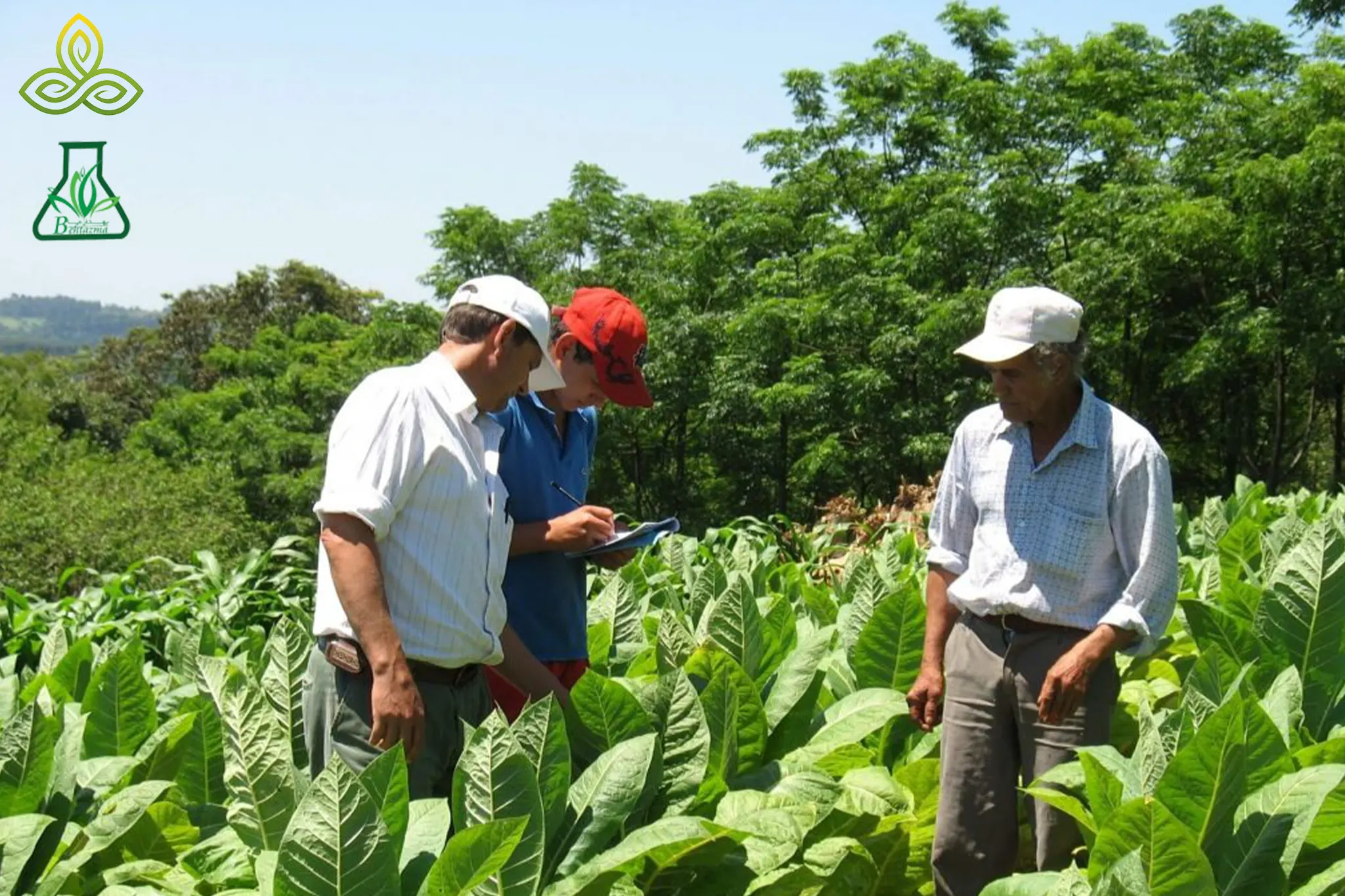 روش‌های نوین کنترل آفات گیاهی