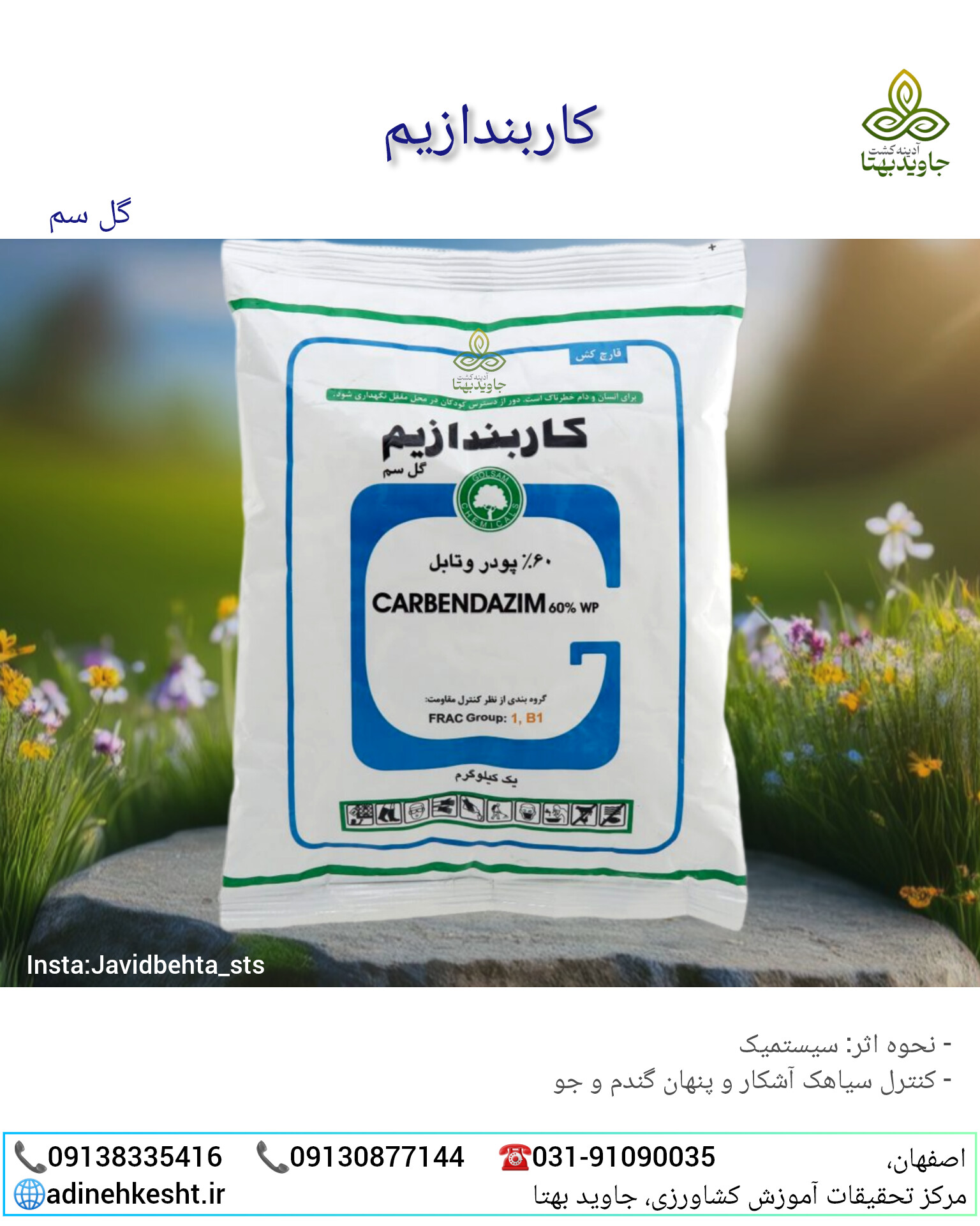 InShot_۲۰۲۵۰۹۱۳_۱۲۲۸۰۶۶۱۲ قارچکش کاربندازیم (Carbendazim 60% WP)